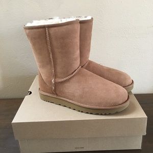 Classic II Short Uggs